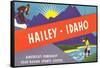 Travel Poster Hailey, Skiing, Fishing-null-Framed Stretched Canvas