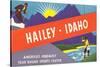 Travel Poster Hailey, Skiing, Fishing-null-Stretched Canvas