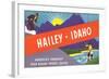 Travel Poster Hailey, Skiing, Fishing-null-Framed Art Print