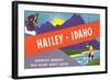 Travel Poster Hailey, Skiing, Fishing-null-Framed Art Print