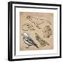 Travel Series: Polar Regions - Antarctica-KUCO-Framed Premium Giclee Print