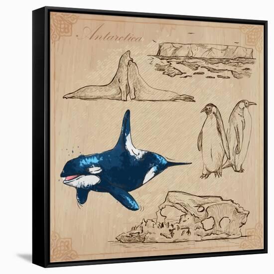 Travel Series: Polar Regions - Antarctica-KUCO-Framed Stretched Canvas