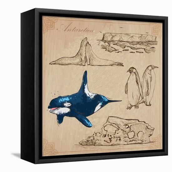 Travel Series: Polar Regions - Antarctica-KUCO-Framed Stretched Canvas