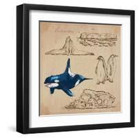 Travel Series: Polar Regions - Antarctica-KUCO-Framed Art Print