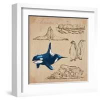 Travel Series: Polar Regions - Antarctica-KUCO-Framed Art Print