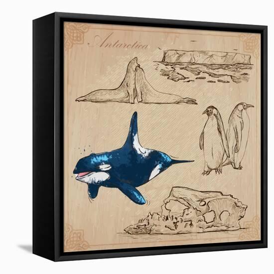 Travel Series: Polar Regions - Antarctica-KUCO-Framed Stretched Canvas