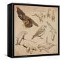 Travel Series: Polar Regions - Antarctica-KUCO-Framed Stretched Canvas