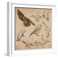 Travel Series: Polar Regions - Antarctica-KUCO-Framed Art Print