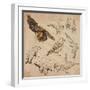 Travel Series: Polar Regions - Antarctica-KUCO-Framed Art Print