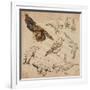 Travel Series: Polar Regions - Antarctica-KUCO-Framed Art Print