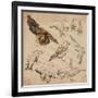 Travel Series: Polar Regions - Antarctica-KUCO-Framed Art Print