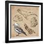 Travel Series: Polar Regions - Antarctica-KUCO-Framed Art Print