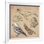 Travel Series: Polar Regions - Antarctica-KUCO-Framed Art Print