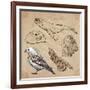 Travel Series: Polar Regions - Antarctica-KUCO-Framed Art Print