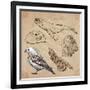 Travel Series: Polar Regions - Antarctica-KUCO-Framed Art Print