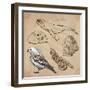 Travel Series: Polar Regions - Antarctica-KUCO-Framed Art Print