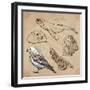 Travel Series: Polar Regions - Antarctica-KUCO-Framed Art Print