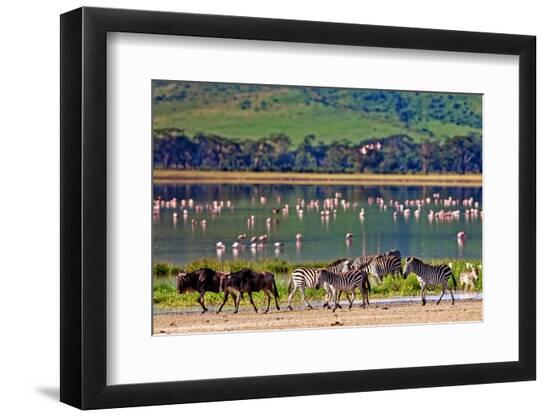 Photographic Print, , large