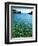 Travel Trip Greece Folegrandos-Marc Levy-Framed Photographic Print