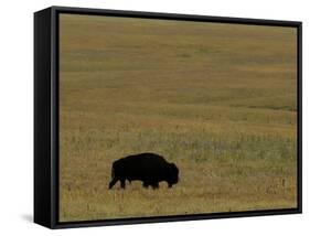 Travel Trip Tallgrass Prairie-Charlie Riedel-Framed Stretched Canvas