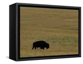 Travel Trip Tallgrass Prairie-Charlie Riedel-Framed Stretched Canvas