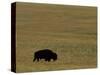 Travel Trip Tallgrass Prairie-Charlie Riedel-Stretched Canvas