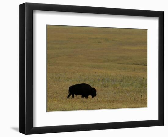 Travel Trip Tallgrass Prairie-Charlie Riedel-Framed Photographic Print