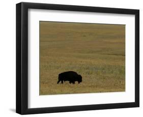 Travel Trip Tallgrass Prairie-Charlie Riedel-Framed Photographic Print