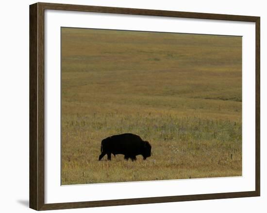 Travel Trip Tallgrass Prairie-Charlie Riedel-Framed Photographic Print