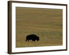 Travel Trip Tallgrass Prairie-Charlie Riedel-Framed Photographic Print