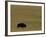 Travel Trip Tallgrass Prairie-Charlie Riedel-Framed Photographic Print