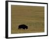 Travel Trip Tallgrass Prairie-Charlie Riedel-Framed Photographic Print