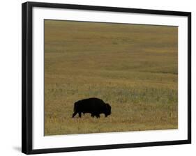 Travel Trip Tallgrass Prairie-Charlie Riedel-Framed Photographic Print