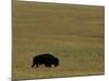 Travel Trip Tallgrass Prairie-Charlie Riedel-Mounted Photographic Print