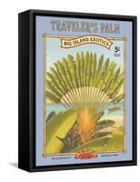 Traveler's Palm-Kerne Erickson-Framed Stretched Canvas