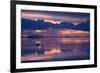 Travelers Drive their Suv across a the Salar De Uyuni, a Flooded Salt Flat, in Bolivia-Sergio Ballivian-Framed Photographic Print