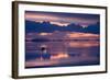 Travelers Drive their Suv across a the Salar De Uyuni, a Flooded Salt Flat, in Bolivia-Sergio Ballivian-Framed Photographic Print