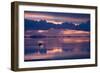 Travelers Drive their Suv across a the Salar De Uyuni, a Flooded Salt Flat, in Bolivia-Sergio Ballivian-Framed Photographic Print