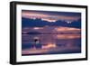 Travelers Drive their Suv across a the Salar De Uyuni, a Flooded Salt Flat, in Bolivia-Sergio Ballivian-Framed Photographic Print