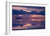 Travelers Drive their Suv across a the Salar De Uyuni, a Flooded Salt Flat, in Bolivia-Sergio Ballivian-Framed Photographic Print