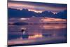 Travelers Drive their Suv across a the Salar De Uyuni, a Flooded Salt Flat, in Bolivia-Sergio Ballivian-Mounted Photographic Print