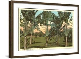 Travelers Palms, Florida-null-Framed Art Print