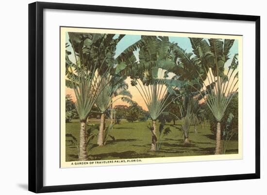 Travelers Palms, Florida-null-Framed Art Print