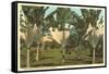 Travelers Palms, Florida-null-Framed Stretched Canvas