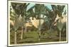 Travelers Palms, Florida-null-Mounted Art Print