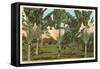 Travelers Palms, Florida-null-Framed Stretched Canvas