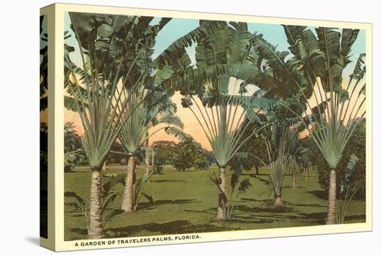 Travelers Palms, Florida-null-Stretched Canvas