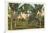 Travelers Palms, Florida-null-Framed Art Print