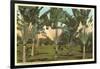 Travelers Palms, Florida-null-Framed Art Print