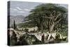 Travelers Stopping to Rest Among a Grove of Cedars in Lebanon-null-Stretched Canvas